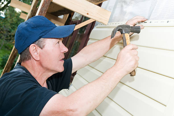 Orion, IL Siding Installation & Repair Company